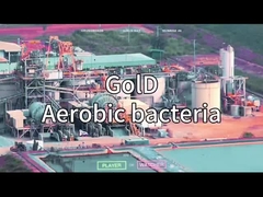 VSA VPSA เครื่องผลิตออกซิเจน